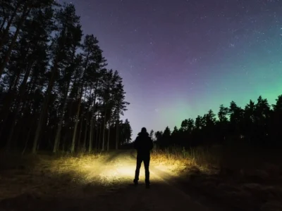 Person von hinten bei einer Nachtwanderung im Wald. Der Schein der Taschenlampe erhellt den Weg, während über den Bäumen der Himmel von Polarlichtern grün erleuchtet wird.