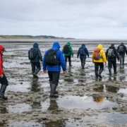 Menschen bei Wattwanderung im Wattenmeer bei Ebbe mit Blick auf die Nordsee