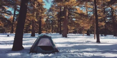 Ein kleines Iglu-Zelt steht auf einer dicken Schicht frischen Schnees in einem lichten Wald, was auf Winter Camping Deutschland hindeutet. Die Nadelbäume haben rötlich-braunes Laub (wahrscheinlich Lärchen) und werfen lange Schatten. Die Szene ist hell von der Wintersonne beleuchtet. Das Bild vermittelt die ruhige und isolierte Atmosphäre eines Winter-Campingausflugs in einer Waldlandschaft.